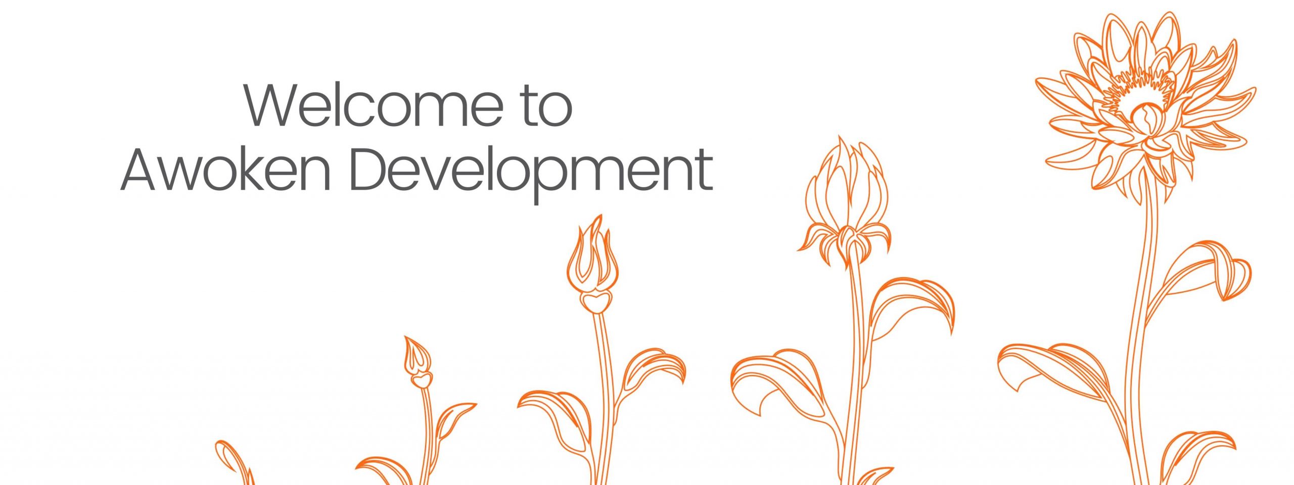 Awoken-Development-Coaching